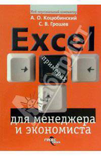 Excel для менеджера и экономиста в примерах