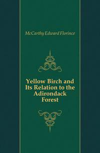 Yellow Birch and Its Relation to the Adirondack Forest