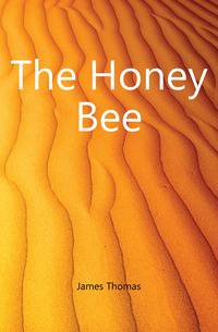 The Honey Bee