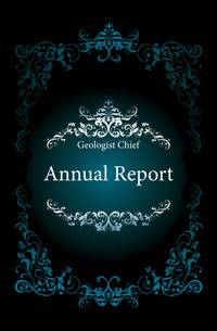 Annual Report