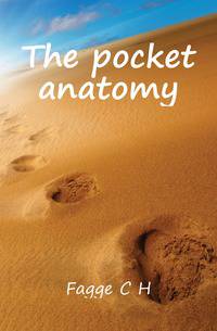 The pocket anatomy