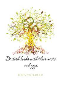 British birds with their nests and eggs