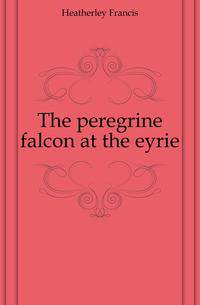 The peregrine falcon at the eyrie