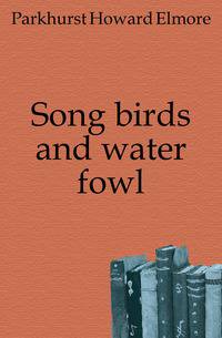 Song birds and water fowl