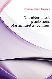 The older forest plantations in Massachusetts. Conifers