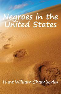Negroes in the United States