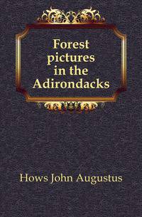 Forest pictures in the Adirondacks