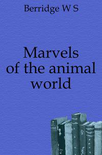 Marvels of the animal world