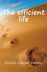 The efficient life