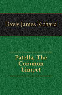 Patella, The Common Limpet