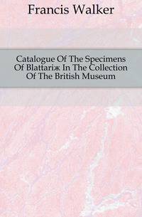 Catalogue Of The Specimens Of Blattariae In The Collection Of The British Museum