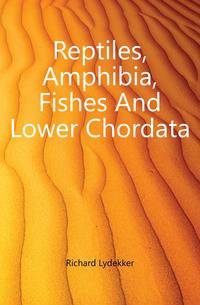 Reptiles, Amphibia, Fishes And Lower Chordata