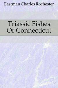 Triassic Fishes Of Connecticut
