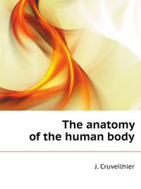 The Anatomy Of The Human Body