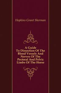 A Guide To Dissection Of The Blood Vessels And Nerves Of The Pectoral And Pelvic Limbs Of The Horse