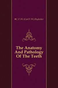 The Anatomy And Pathology Of The Teeth