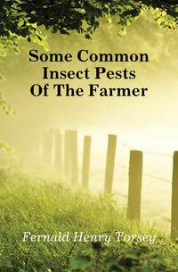 Some Common Insect Pests Of The Farmer