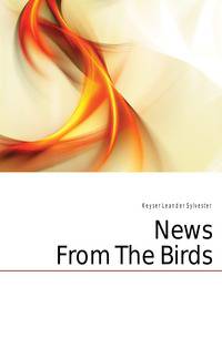 News From The Birds