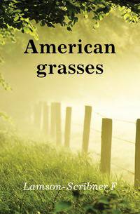 American grasses