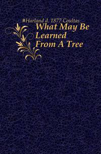 What May Be Learned From A Tree