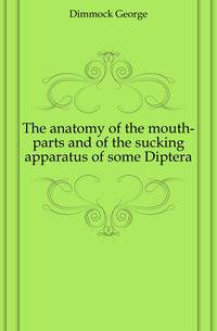 The anatomy of the mouth-parts and of the sucking apparatus of some Diptera