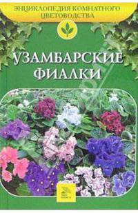 Узамбарские фиалки