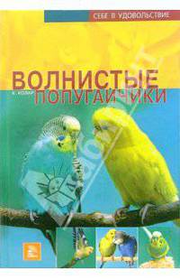 Волнистые попугайчики