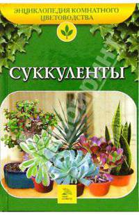 Суккуленты