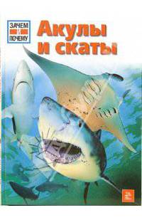 Акулы и скаты