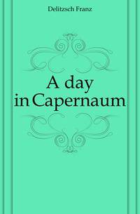 A day in Capernaum