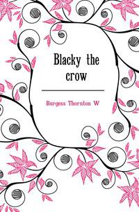 Blacky the crow