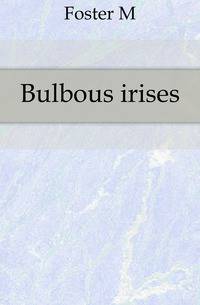 Bulbous irises