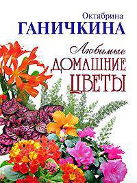 Любимые домашние цветы