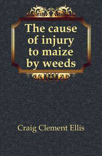 The cause of injury to maize by weeds