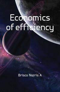 Economics of efficiency