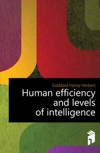 Human efficiency and levels of intelligence