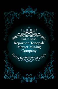Report on Tonopah Merger Mining Company
