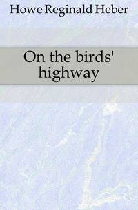 On the birds' highway