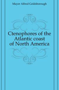 Ctenophores of the Atlantic coast of North America