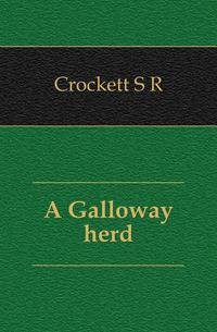 A Galloway herd