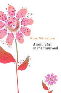 A naturalist in the Transvaal