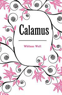 Calamus