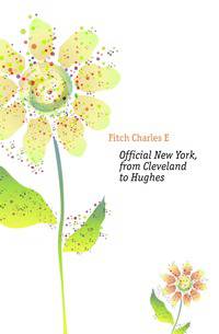 Official New York, from Cleveland to Hughes