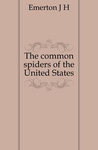 The common spiders of the United States