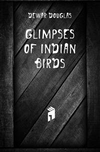 Glimpses of Indian birds