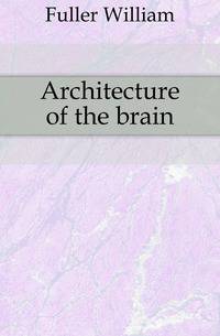 Architecture of the brain