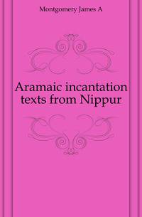 Aramaic incantation texts from Nippur