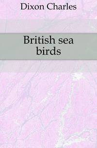 British sea birds