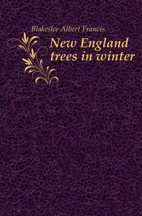 New England trees in winter
