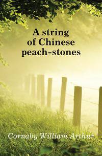 A string of Chinese peach-stones